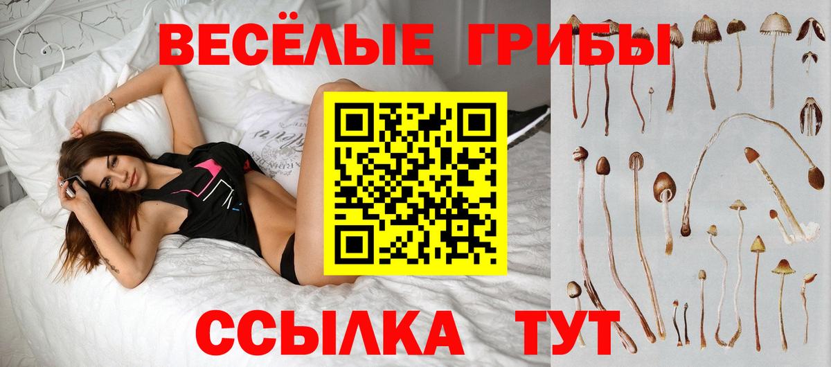 Псилоцибиновые грибы MAGIC MUSHROOMS  Галлюциногенные грибы Cubensis  Вход с VPN  Нефтекумск 